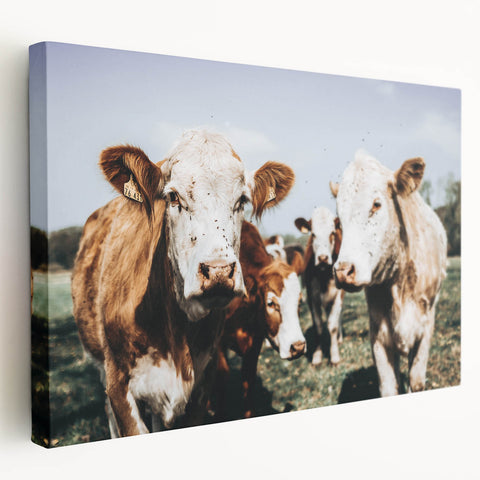 Farmhouse Cows Wall Art – Rustic Country Style Decor for Home