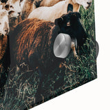 Farmhouse Sheep Wall Art – Rustic Country Style Decor for Home