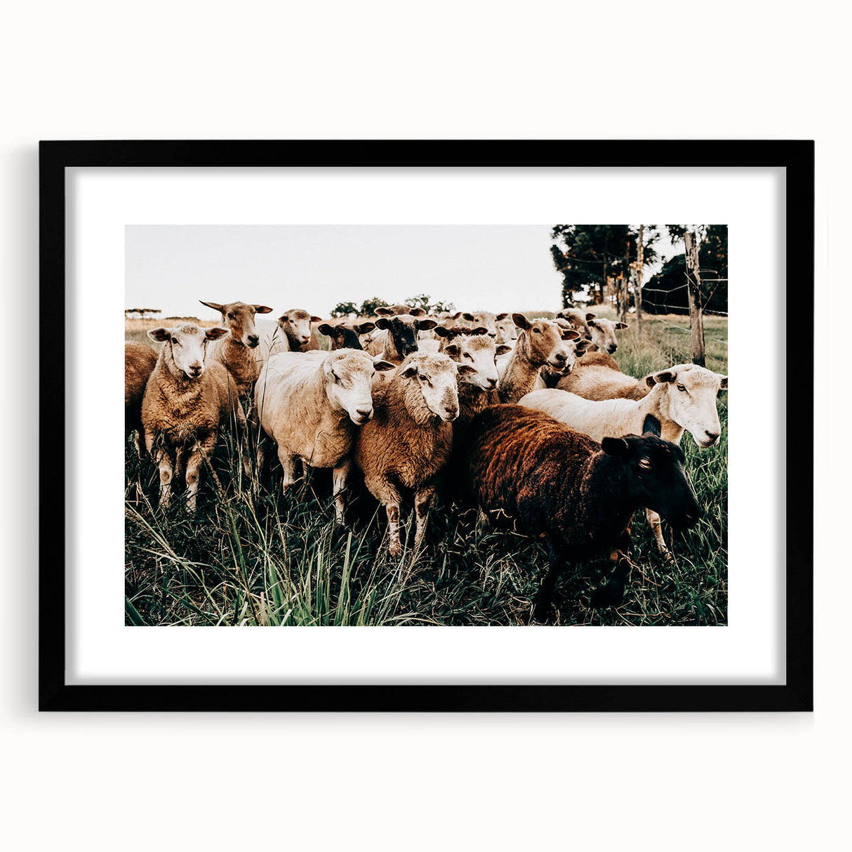 Farmhouse Sheep Wall Art – Rustic Country Style Decor for Home