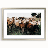 Farmhouse Sheep Wall Art – Rustic Country Style Decor for Home