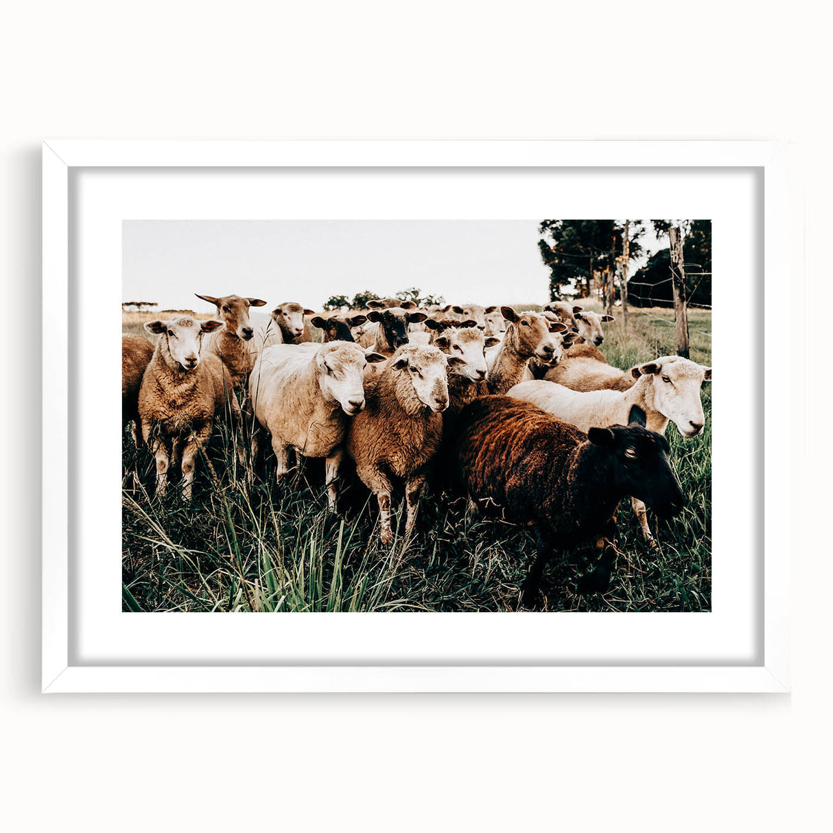 Farmhouse Sheep Wall Art – Rustic Country Style Decor for Home