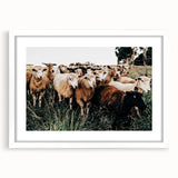 Farmhouse Sheep Wall Art – Rustic Country Style Decor for Home