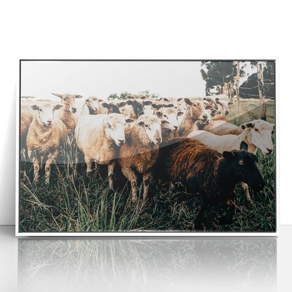 Farmhouse Sheep Wall Art – Rustic Country Style Decor for Home