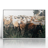 Farmhouse Sheep Wall Art – Rustic Country Style Decor for Home