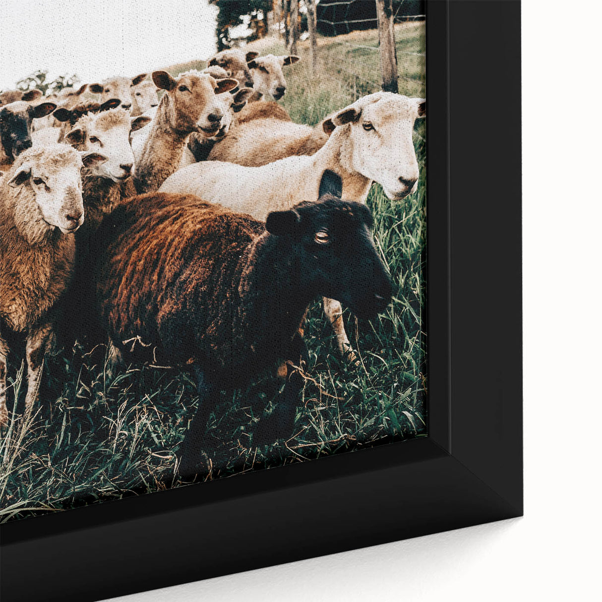 Farmhouse Sheep Wall Art – Rustic Country Style Decor for Home