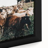 Farmhouse Sheep Wall Art – Rustic Country Style Decor for Home
