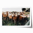 Farmhouse Sheep Wall Art – Rustic Country Style Decor for Home