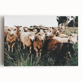 Farmhouse Sheep Wall Art – Rustic Country Style Decor for Home