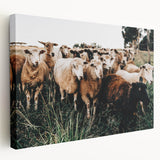 Farmhouse Sheep Wall Art – Rustic Country Style Decor for Home
