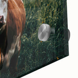 Farmhouse Cow Wall Art – Rustic Country Style Decor for Home