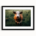 Farmhouse Cow Wall Art – Rustic Country Style Decor for Home