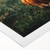 Farmhouse Cow Wall Art – Rustic Country Style Decor for Home