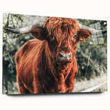 Rustic Highland Cow Wall Art – Farmhouse Country Style Decor