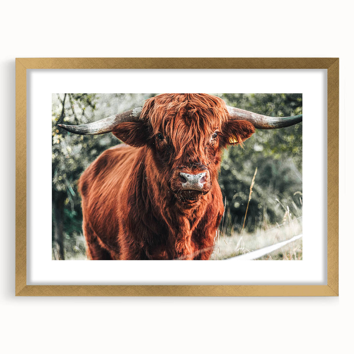 Rustic Highland Cow Wall Art – Farmhouse Country Style Decor