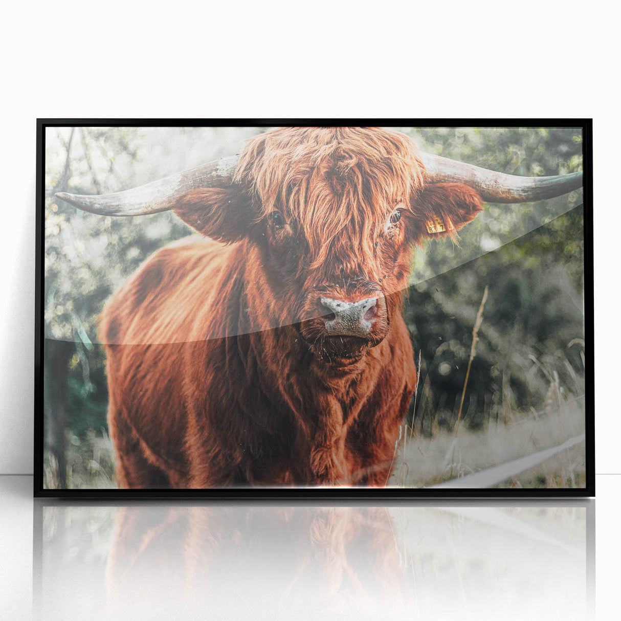 Rustic Highland Cow Wall Art – Farmhouse Country Style Decor