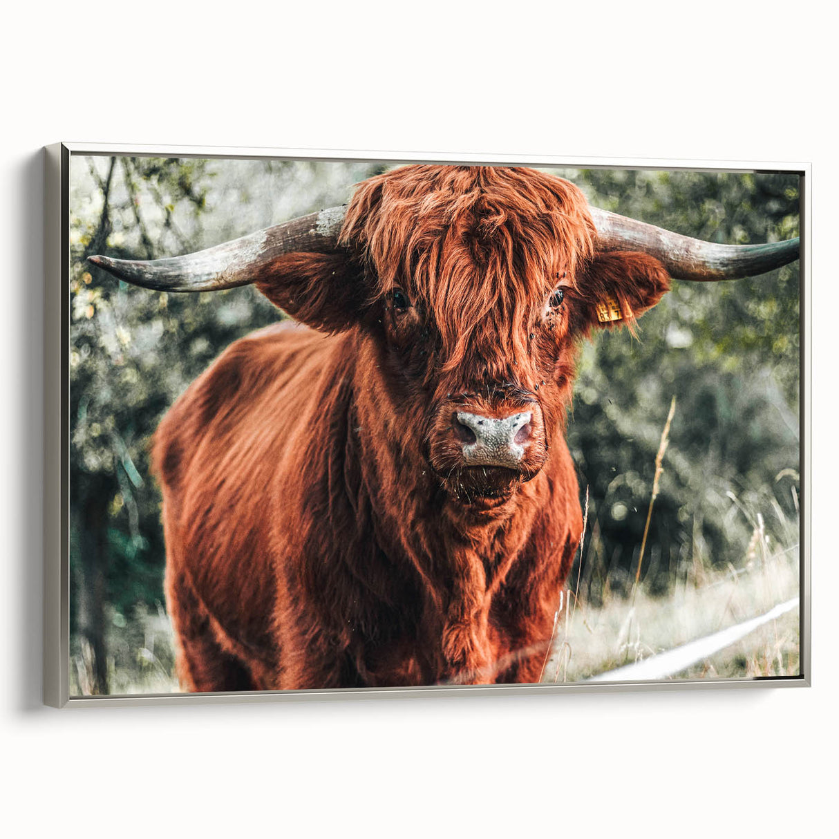 Rustic Highland Cow Wall Art – Farmhouse Country Style Decor