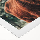 Rustic Highland Cow Wall Art – Farmhouse Country Style Decor