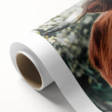 Rustic Highland Cow Wall Art – Farmhouse Country Style Decor