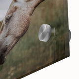 Rustic Horses Wall Art – Farmhouse Country Style Decor for Home