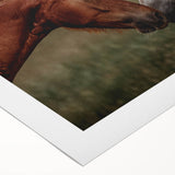 Rustic Horses Wall Art – Farmhouse Country Style Decor for Home