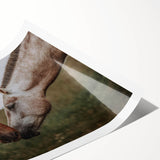 Rustic Horses Wall Art – Farmhouse Country Style Decor for Home