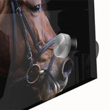 Farmhouse Horse Wall Art – Elegant Country Style Decor for Home