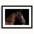 Farmhouse Horse Wall Art – Elegant Country Style Decor for Home