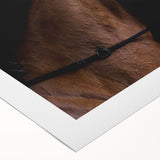 Farmhouse Horse Wall Art – Elegant Country Style Decor for Home