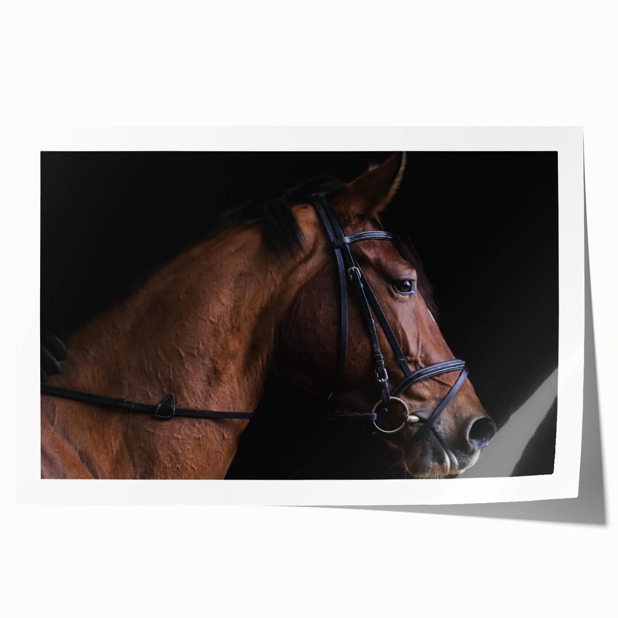 Farmhouse Horse Wall Art – Elegant Country Style Decor for Home