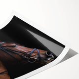 Farmhouse Horse Wall Art – Elegant Country Style Decor for Home