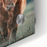 Farmhouse Wall Art - Highland Cow at Sunset Rustic Country Style Decor