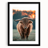 Farmhouse Wall Art - Highland Cow at Sunset Rustic Country Style Decor
