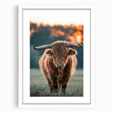 Farmhouse Wall Art - Highland Cow at Sunset Rustic Country Style Decor