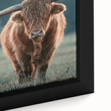 Farmhouse Wall Art - Highland Cow at Sunset Rustic Country Style Decor