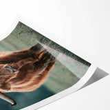 Farmhouse Wall Art - Highland Cow at Sunset Rustic Country Style Decor