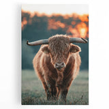 Farmhouse Wall Art - Highland Cow at Sunset Rustic Country Style Decor