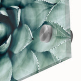 Farmhouse Succulent Wall Art – Rustic Botanical Decor for Home