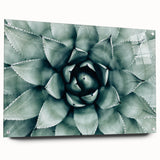 Farmhouse Succulent Wall Art – Rustic Botanical Decor for Home