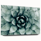 Farmhouse Succulent Wall Art – Rustic Botanical Decor for Home