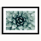 Farmhouse Succulent Wall Art – Rustic Botanical Decor for Home