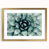 Farmhouse Succulent Wall Art – Rustic Botanical Decor for Home