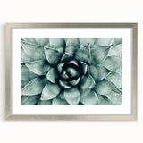 Farmhouse Succulent Wall Art – Rustic Botanical Decor for Home