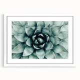 Farmhouse Succulent Wall Art – Rustic Botanical Decor for Home