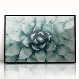 Farmhouse Succulent Wall Art – Rustic Botanical Decor for Home