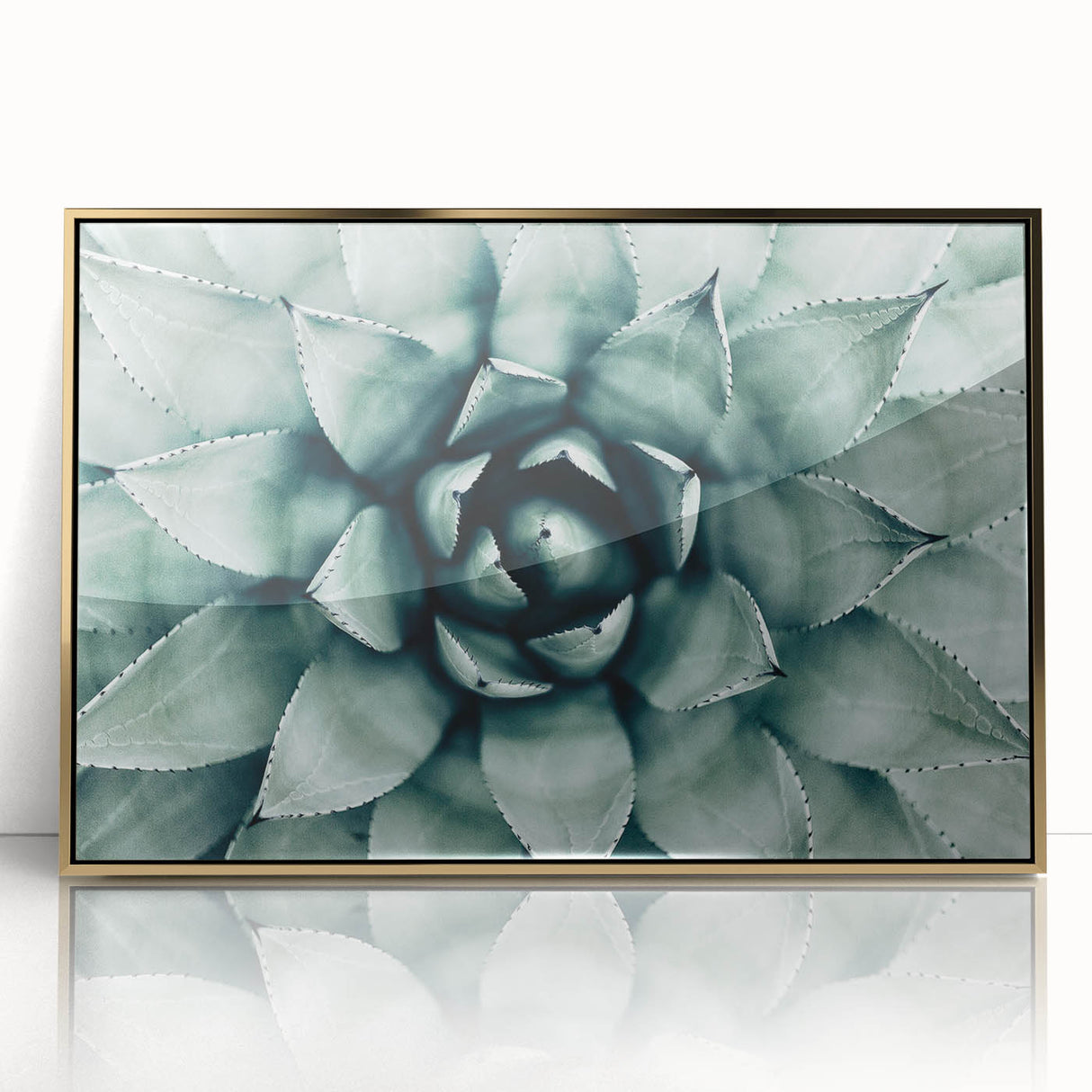 Farmhouse Succulent Wall Art – Rustic Botanical Decor for Home