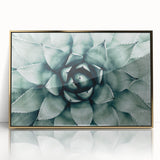 Farmhouse Succulent Wall Art – Rustic Botanical Decor for Home