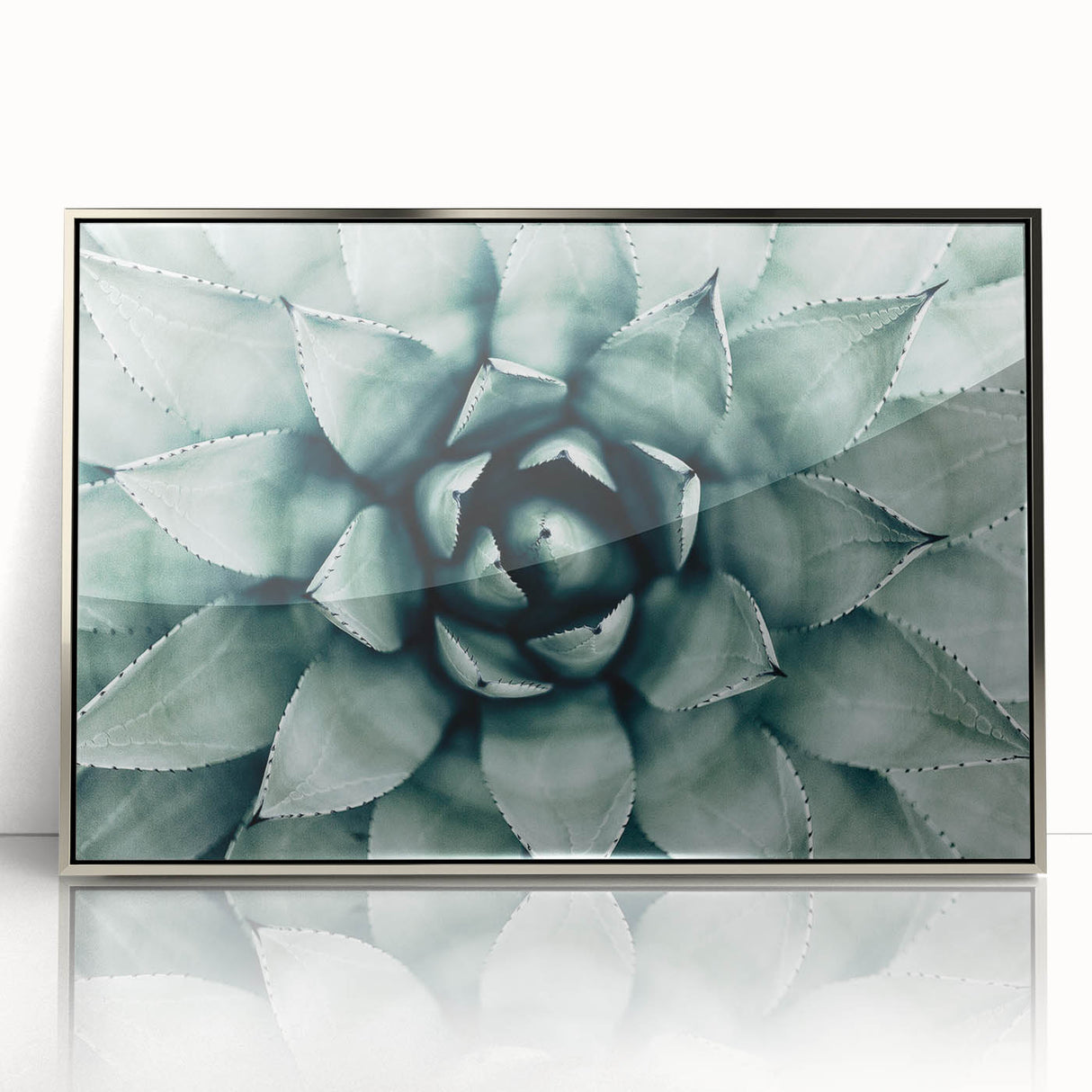 Farmhouse Succulent Wall Art – Rustic Botanical Decor for Home