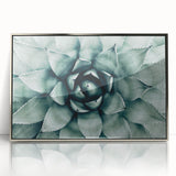 Farmhouse Succulent Wall Art – Rustic Botanical Decor for Home