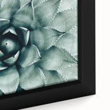 Farmhouse Succulent Wall Art – Rustic Botanical Decor for Home