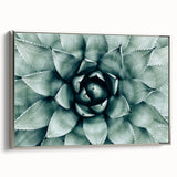 Farmhouse Succulent Wall Art – Rustic Botanical Decor for Home